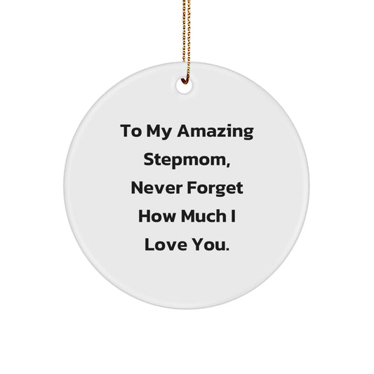 Funny Stepmom Gifts for Christmas, Circle Ornament from Son to Stepmom, 'To My Amazing Stepmom',
   Gifts from Son to Stepmom, Stepmom Love Circle Ornament - Image 1