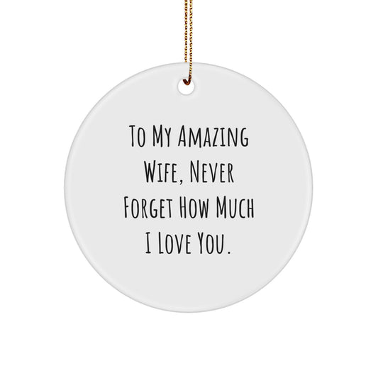 Gifts from Husband to Wife, To My Amazing Wife Never Forget How Much I Love You, Beautiful Circle Ornament for Christmas Unique Gifts - Image 1