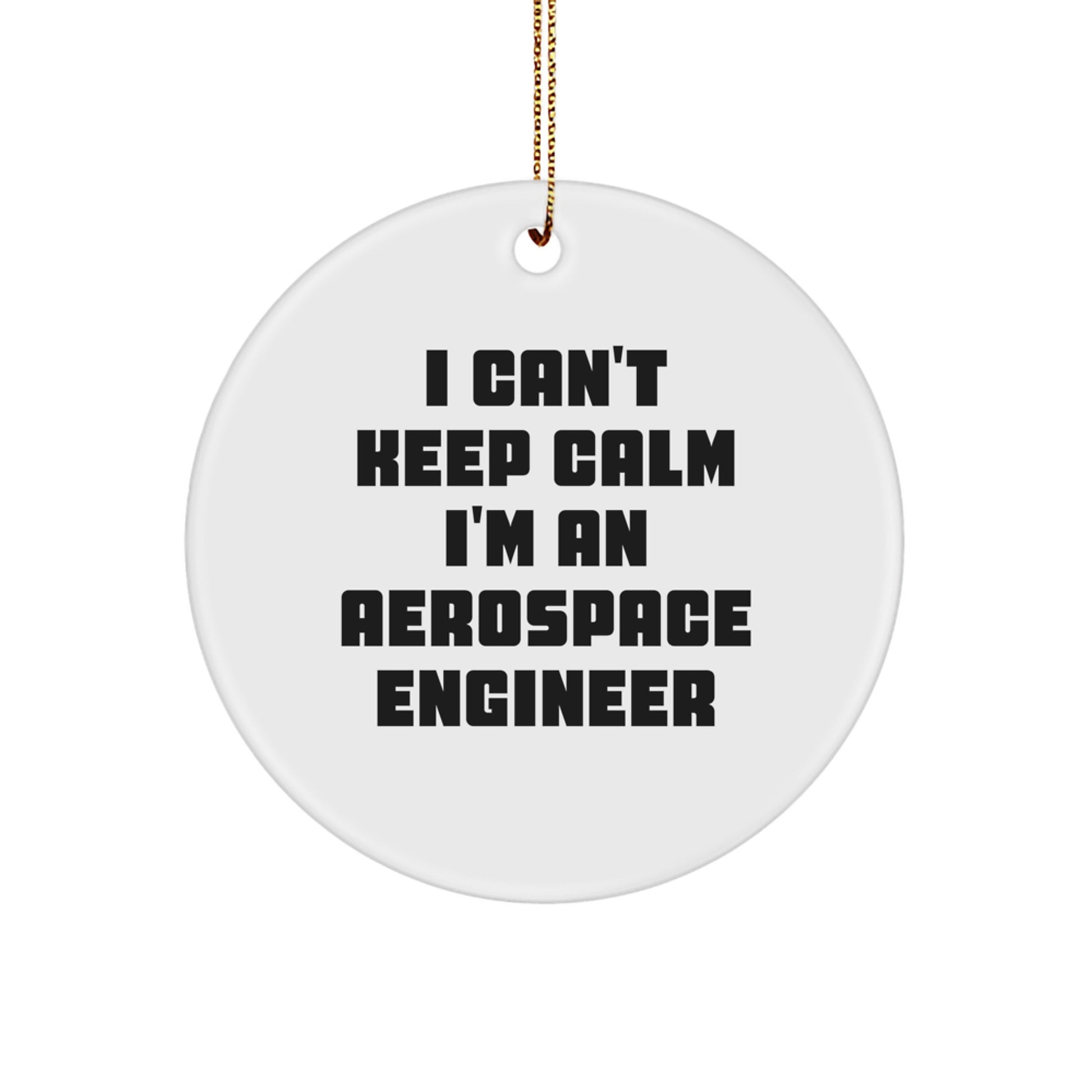 I Can't Keep Calm I'm An Aerospace Engineer Funny Circle Ornament Gifts from Friends for Christmas - Image 1