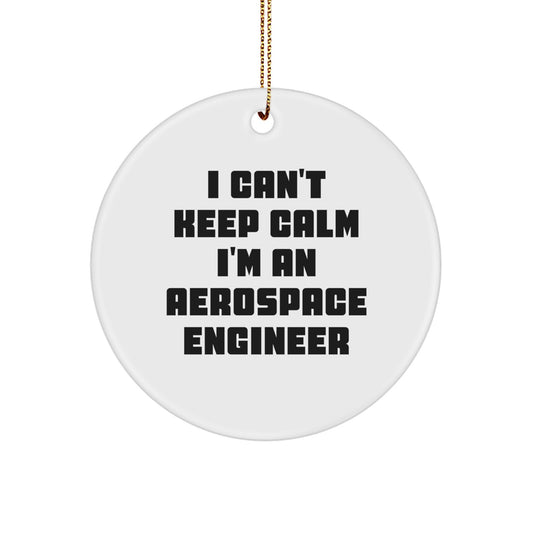 I Can't Keep Calm I'm An Aerospace Engineer Funny Circle Ornament Gifts from Friends for Christmas - Image 1