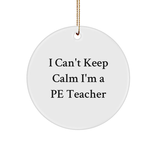 Funny 'I Cant Keep Calm I'm A PE Teacher' Gifts from Parents to PE Teacher Christmas Unique Ornaments - Image 1