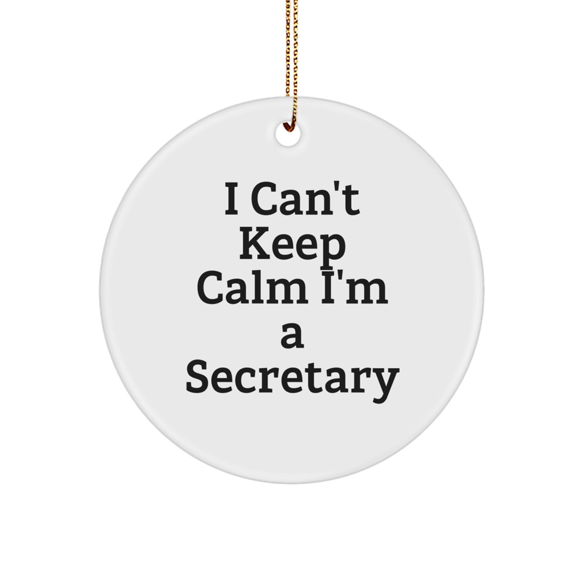 Funny Secretary Gifts from Women, I Can't Keep Calm I'm A Secretary Circle Ornament, Christmas Unique Office Decorations - Image 1