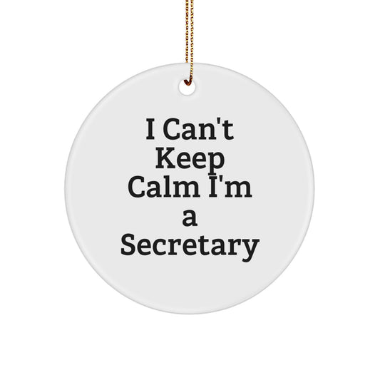 Funny Secretary Gifts from Women, I Can't Keep Calm I'm A Secretary Circle Ornament, Christmas Unique Office Decorations - Image 1