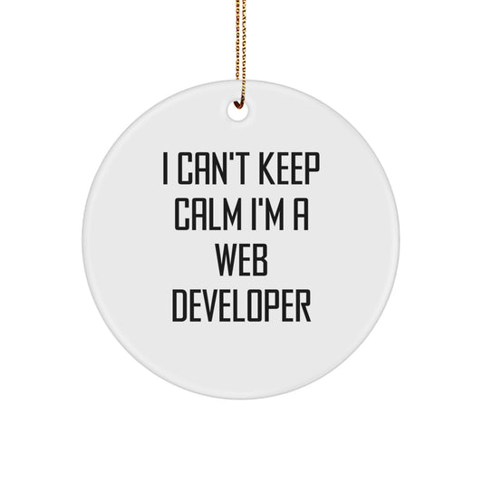 I Can't Keep Calm I'm A Web Developer Funny Circle Ornament, Web Developer Gifts for Christmas, Circle Ornament, Gifts from Friends for Web Developer - Image 1