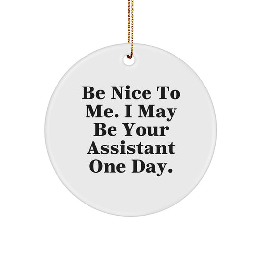 Funny Assistant Gifts from Men - Be Nice To Me I May Be Your Assistant One Day. Christmas Unique Circle Ornament for Assistant, Friends, Coworkers, Family, Women, Men - Image 1