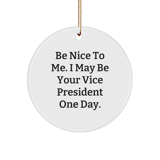 Funny Vice President Christmas Unique Gifts from Coworkers, Friends, or Family for Him, 'Be Nice To Me. I May Be Your Vice President One Day.' Circle Ornament - Image 1