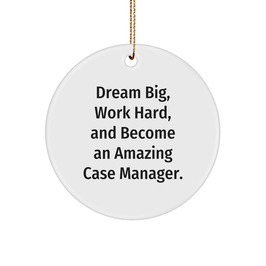 Gifts from Friends for Amazing Case Managers, 'Dream Big, Work Hard', Circle Ornament, Christmas Unique Gifts for Case Manager - Image 1