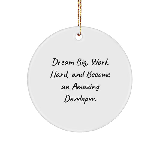 Dream Big Developer Circle Ornament Gifts from Friends, Unique Christmas Unique Gifts for Developers, Inspirational Quote - Image 1