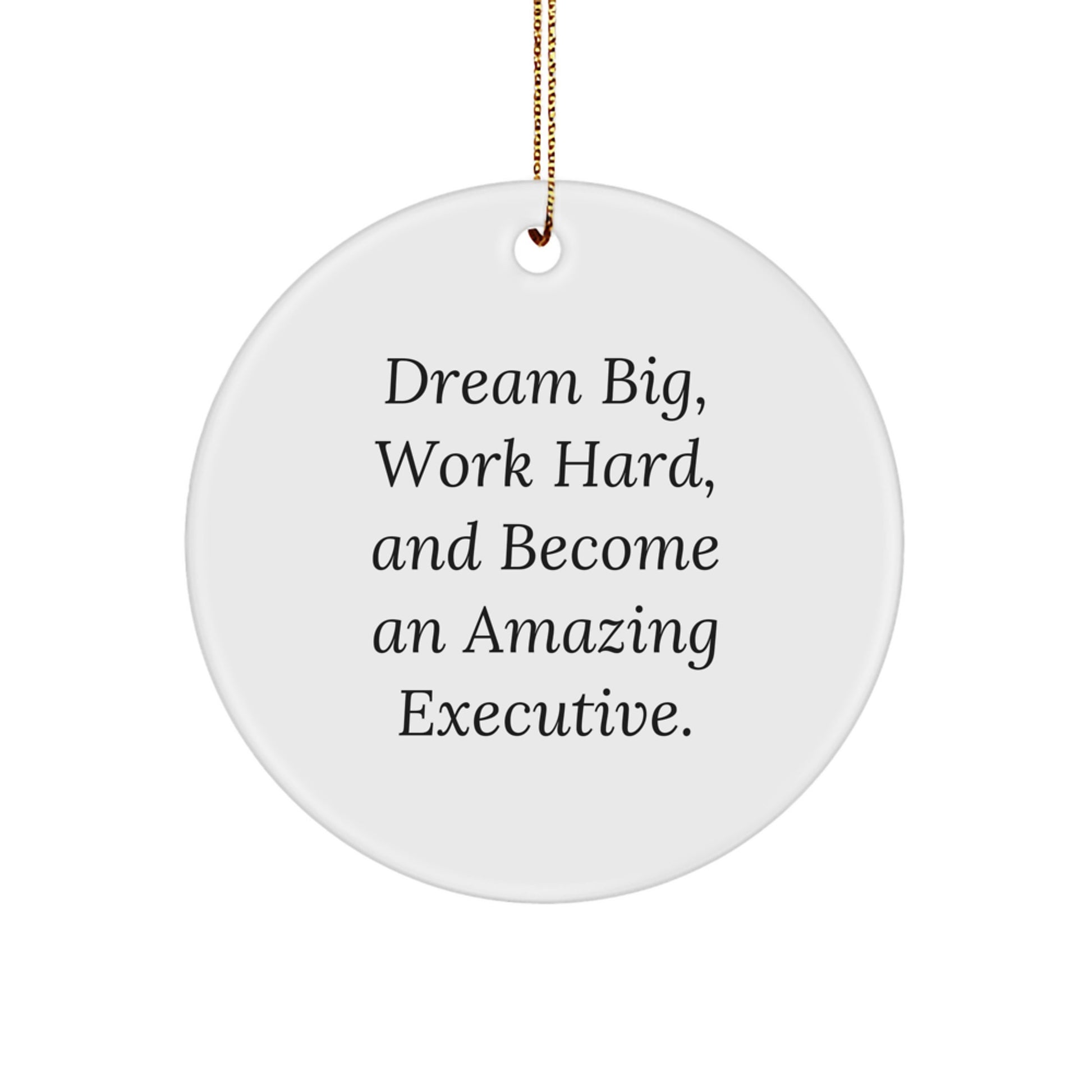 Executive Circle Ornament, Fun Inspirational Gift, Dream Big, Work Hard, Gifts from Men to Executive Friends - Image 1