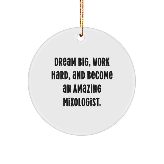 Funny Mixologist Gifts from Friends for Men, Women, and Family, Unique Circle Ornament, Dream Big, Work Hard, And Become An Amazing Mixologist, Perfect for Christmas - Image 1