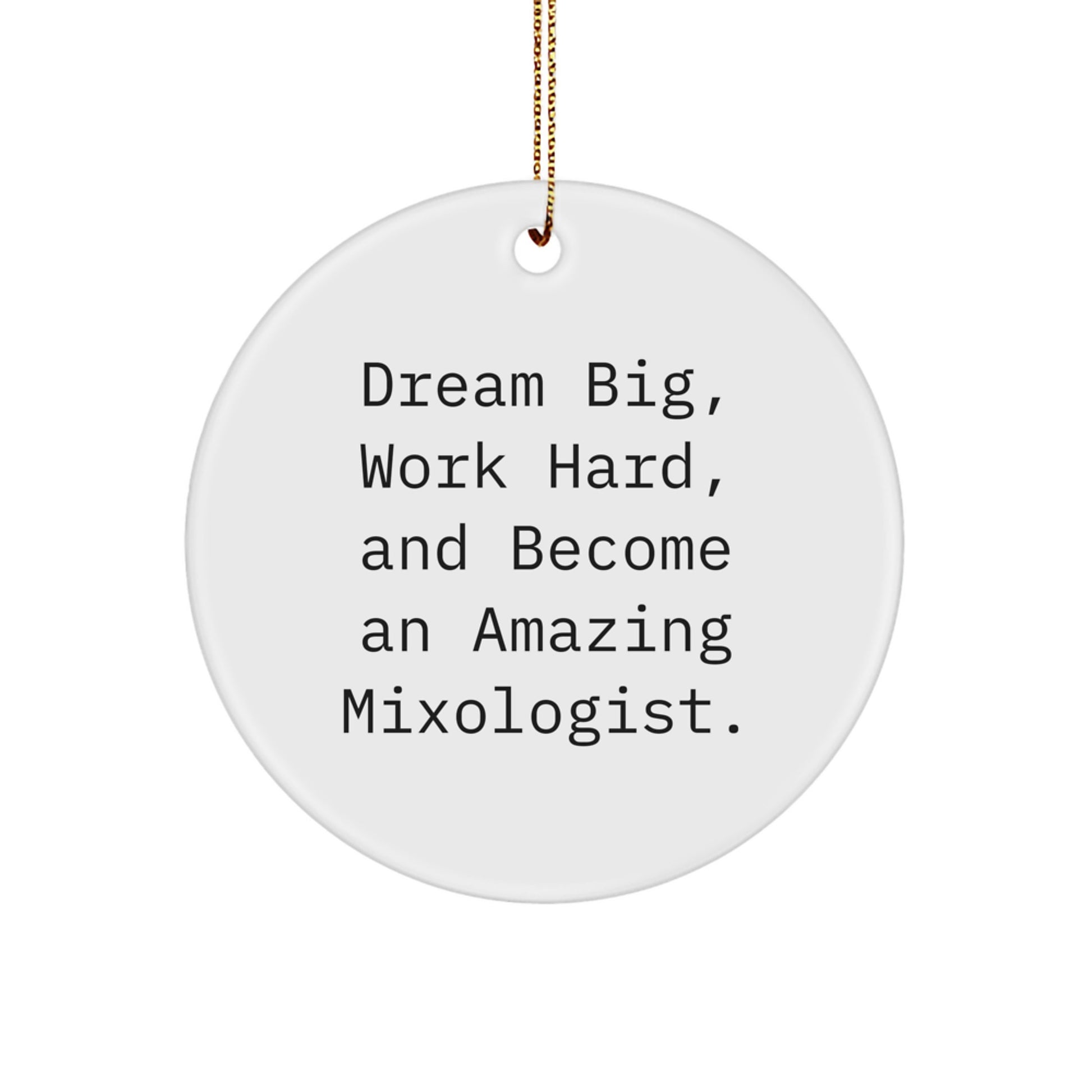 Mixologist Gifts from Friends - Christmas Unique Gifts for Mixologist, Dream Big, Work Hard, Become Amazing - Circle Ornament, Inspirational, Funny, Cute - Image 1