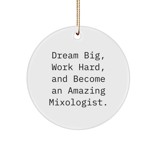 Mixologist Gifts from Friends - Christmas Unique Gifts for Mixologist, Dream Big, Work Hard, Become Amazing - Circle Ornament, Inspirational, Funny, Cute - Image 1