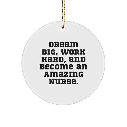 Funny Inspirational Gifts for Nurses, Nurse Circle Ornament, Dream Big and Work Hard Quote Gifts from Friends and Family at Christmas - Image 1