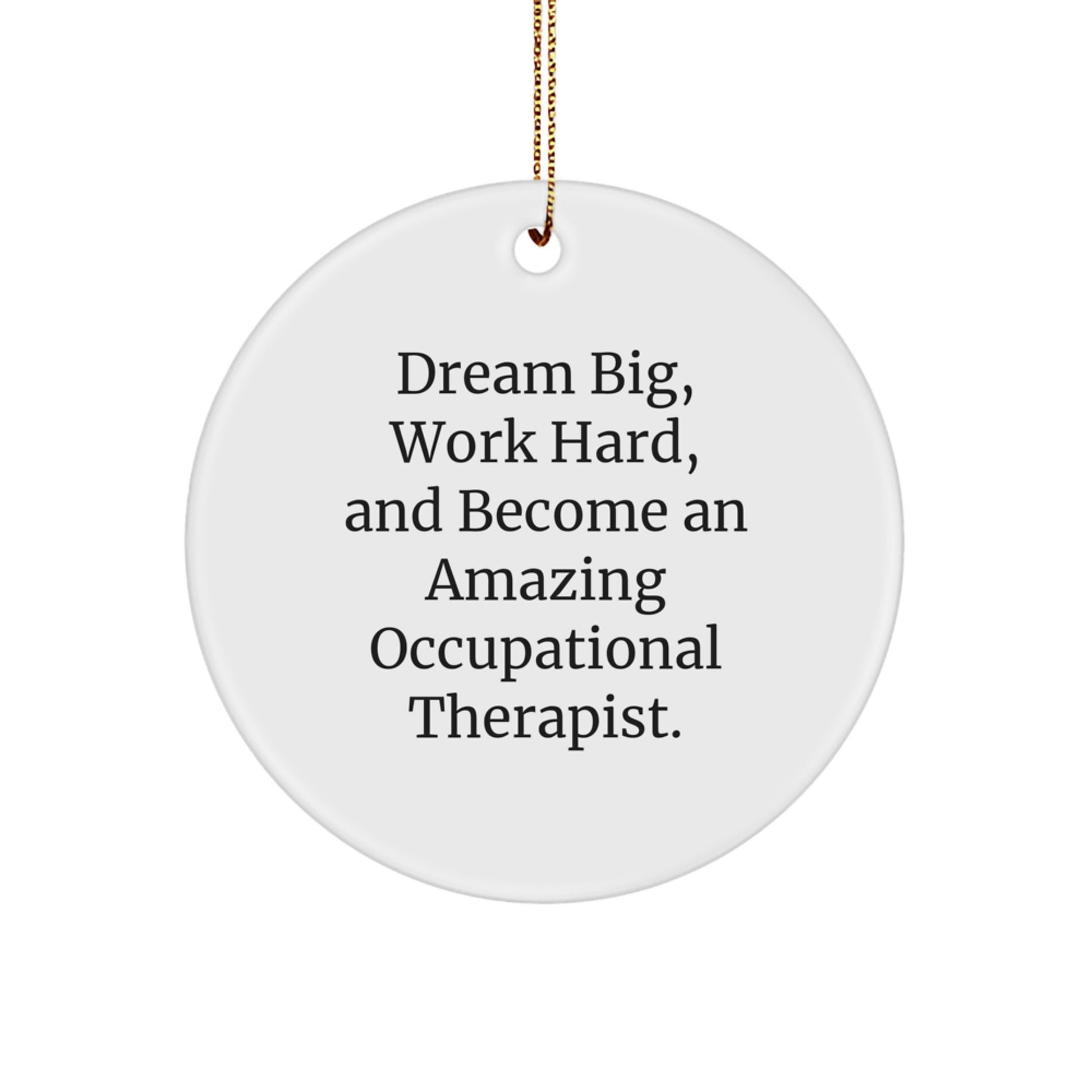 Inspirational Gifts from Friends and Family for Occupational Therapist Christmas Unique Circle Ornament, 'Dream Big, Work Hard, And Become An Amazing Occupational Therapist.' - Image 1