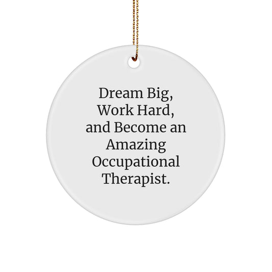 Inspirational Gifts from Friends and Family for Occupational Therapist Christmas Unique Circle Ornament, 'Dream Big, Work Hard, And Become An Amazing Occupational Therapist.' - Image 1