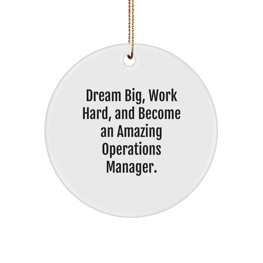 Inspiring Operations Manager Circle Ornament - 'Dream Big Work Hard' Funny Gift for Colleagues, Friends, and Family this Christmas Season - Image 1