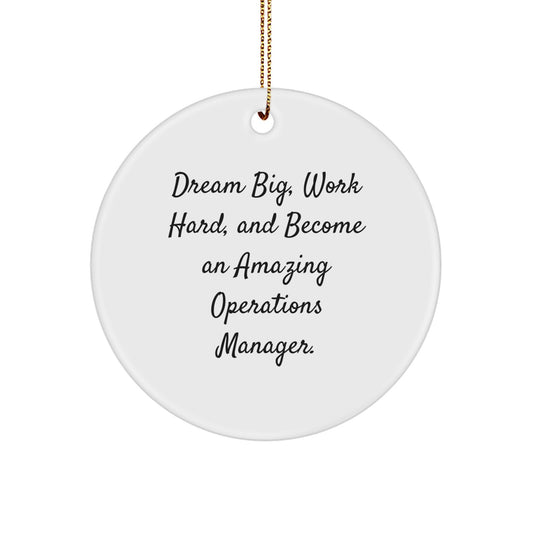 Funny Operations Manager Christmas Unique Gifts from Family to Men - 'Dream Big, Work Hard' Circle Ornament, White, Inspirational Motivational - Image 1