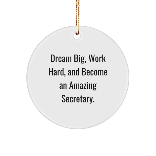 Inspirational Secretary Gifts from Friends - Funny Christmas Circle Ornament 'Dream Big, Work Hard, And Become An Amazing Secretary.' - Image 1