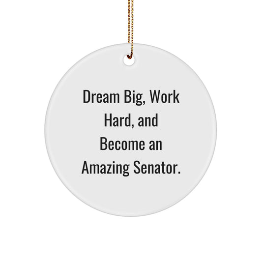 Senator Circle Ornament, Funny Inspirational Gift for Senator, Christmas Unique Decorations, Gifts from Friends to Senator, Senator Gifts Ideas - Image 1