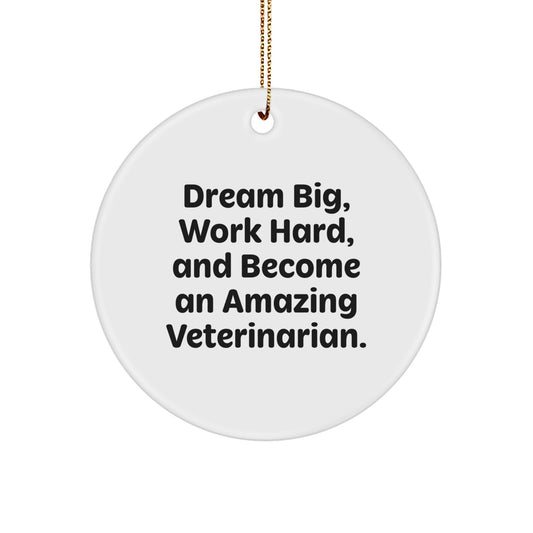 Funny Veterinarian Gifts from Friends, 'Dream Big, Work Hard, And Become An Amazing Veterinarian.' Christmas Circle Ornament for Veterinarian Men, Women, or Coworkers - Image 1