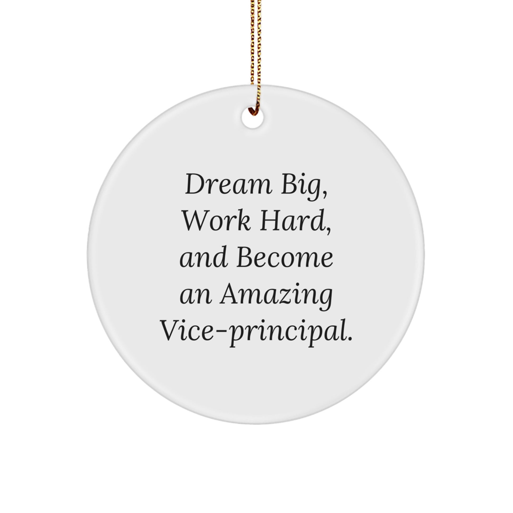 Funny Vice-principal Gift, Dream Big and Become Amazing Vice-principal, Circle Ornament - Christmas Unique Gifts from Friends to Vice-principal Men - Image 1