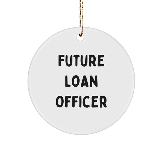 Funny Future Loan Officer Gifts from Men for Loan Officer Christmas Unique Ornaments - Image 1