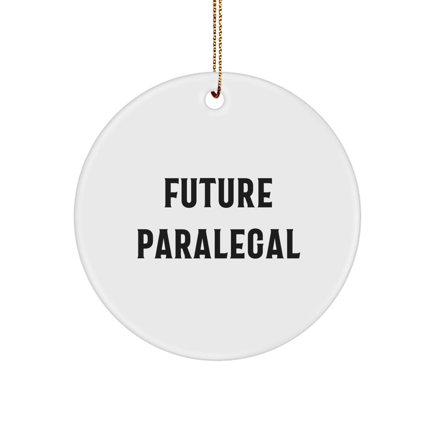 Inspiring Future Paralegals Gifts from Friends and Family - Christmas Circle Ornament with Funny Quote, Gifts for Paralegals - Image 1