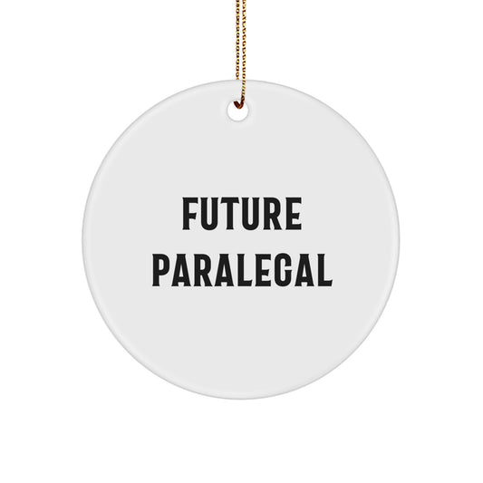 Inspiring Future Paralegals Gifts from Friends and Family - Christmas Circle Ornament with Funny Quote, Gifts for Paralegals - Image 1