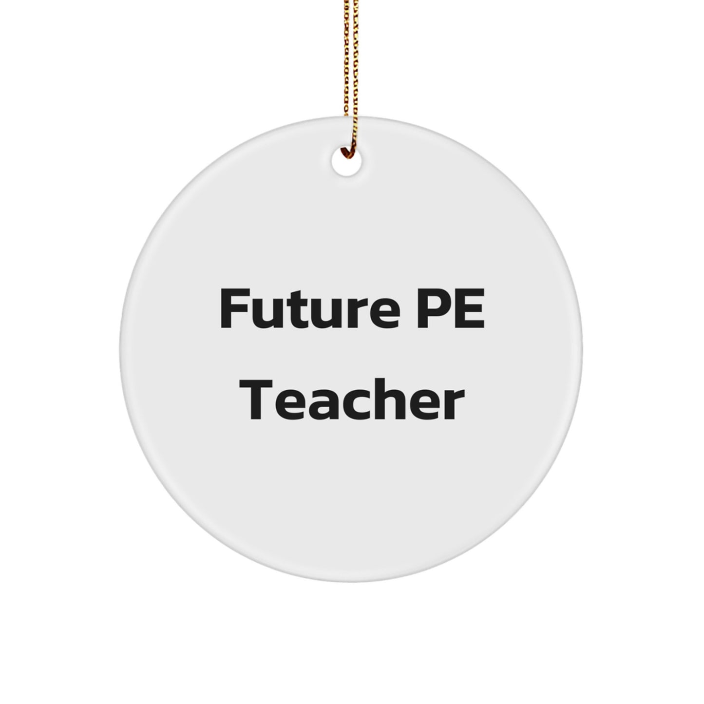 Funny PE Teacher Quote Circle Ornament for Christmas Unique Gifts from Friends to PE Teacher, PE Teacher Gift Ideas for Men, Women, Coworkers, Family - Image 1