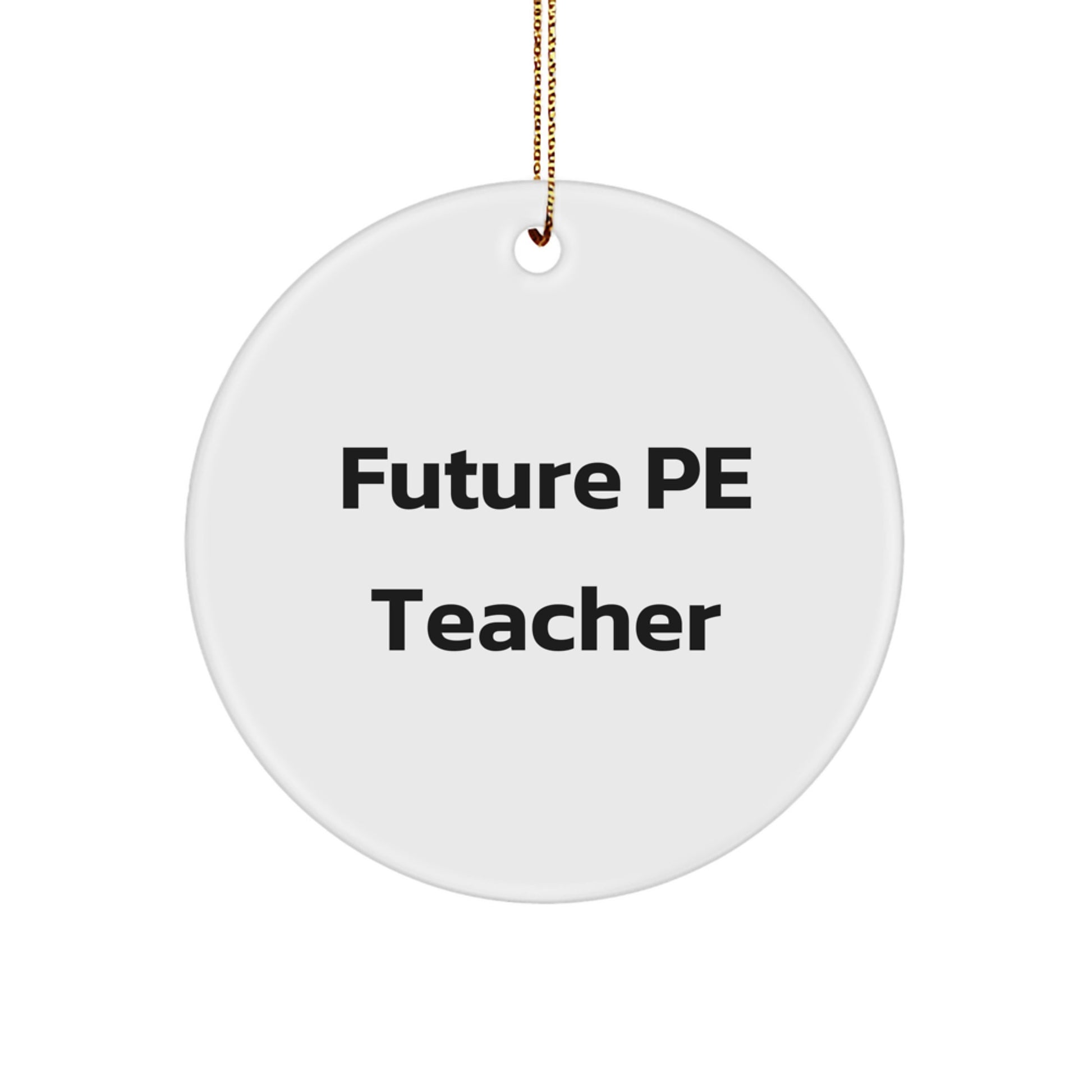 Funny PE Teacher Quote Circle Ornament for Christmas Unique Gifts from Friends to PE Teacher, PE Teacher Gift Ideas for Men, Women, Coworkers, Family - Image 1