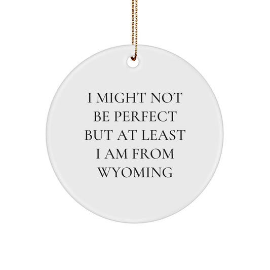 Wyoming Circle Ornament Gifts from Friends and Family for Christmas Unique Decorations, I 'Might Not Be Perfect' - Image 1