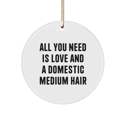 Funny Domestic Medium Hair Cat Circle Ornament, Gifts from Men to Women, Friends, or Family for Christmas Unique Presents - Image 1