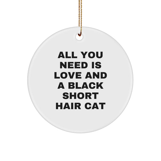  Funny Black Short Hair Cat Gifts for Cat Lovers, Handmade Circle Ornament with Quote 'All You Need Is Love And A Black Short Hair Cat' Gifts from Friends and Family for Christmas - Image 1