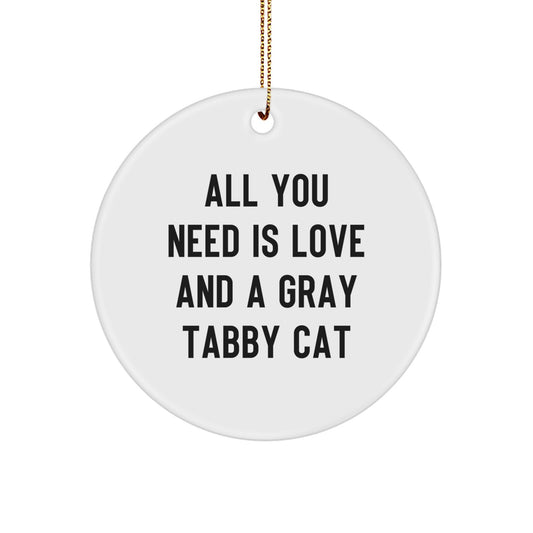 Funny Gray Tabby Cat Gifts for Men, Women, Friends - Christmas Unique Gifts from Family, Circle Ornament with Inspirational Quote - Image 1
