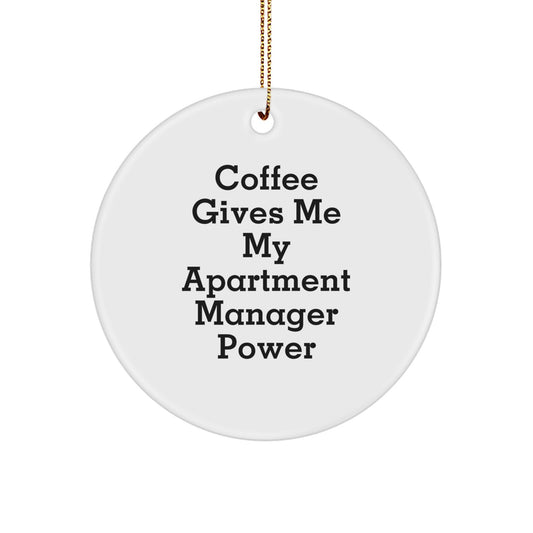 Funny Apartment Manager Gifts from Friends - Christmas Unique Ornaments for Apartment Managers - Image 1