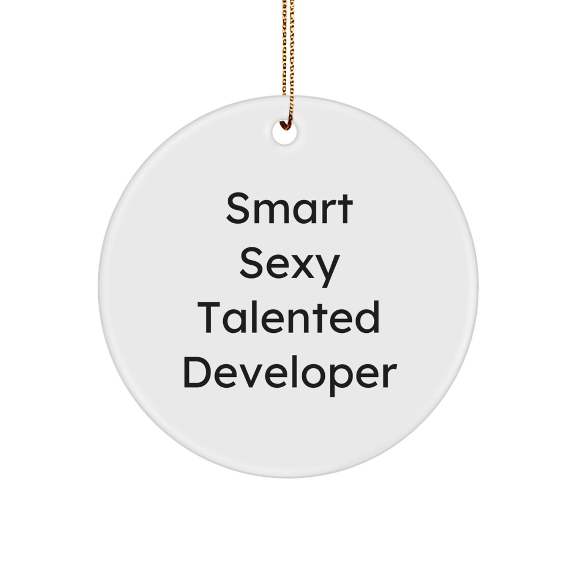 Funny Developer Gifts from Men Friends for Christmas Unique Circle Ornament - Image 1