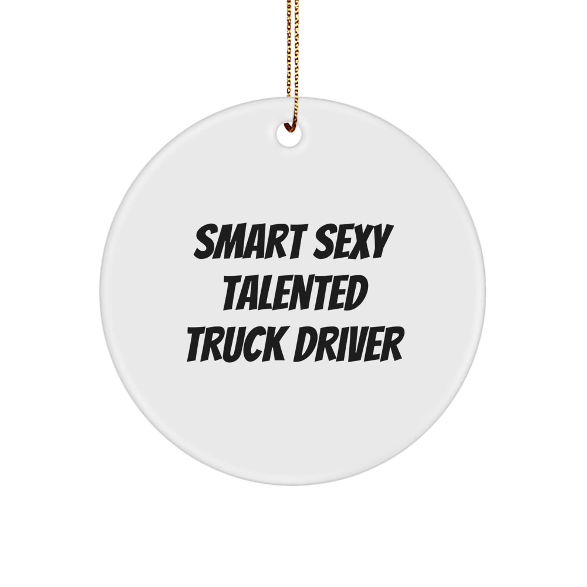 Smart Sexy Talented Truck Driver Christmas Unique Gift for Men, Circle Ornament with Funny Quote, Gifts from Friends, Family, Coworkers, Perfect for Office Decor - Image 1