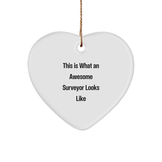 Funny Surveyor Gifts from Friends, Awesome Heart Ornament for Christmas Unique Gifts, 'This Is What An Awesome Surveyor Looks Like' Quote - Image 1
