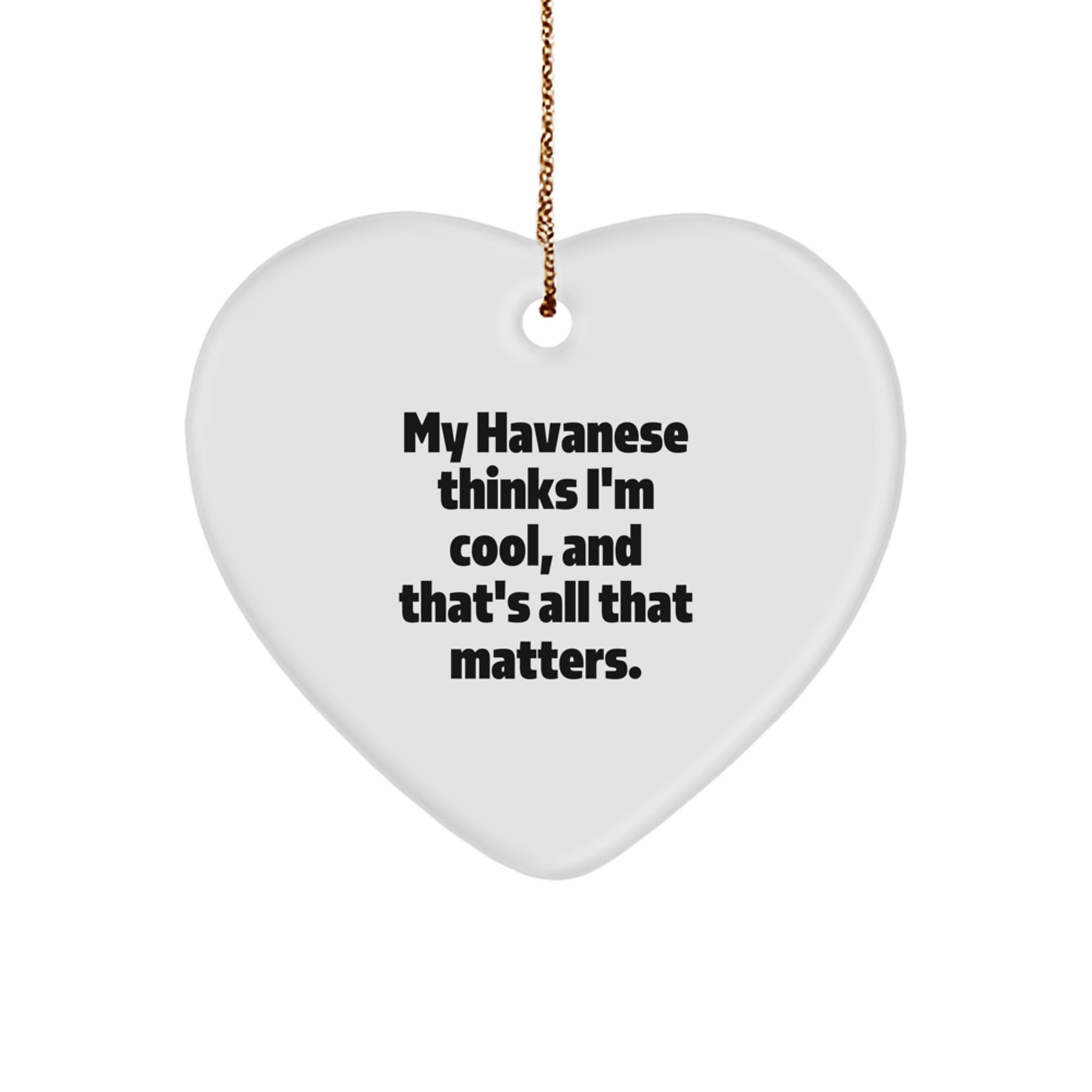 Havanese Dog Lover Gifts from Friends - 'My Havanese Thinks I'm Cool' Heart Ornament for Men, Women, Family, and Coworkers - Unique Christmas Unique Gift Ideas - Image 1