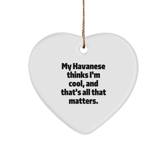 Havanese Dog Lover Gifts from Friends - 'My Havanese Thinks I'm Cool' Heart Ornament for Men, Women, Family, and Coworkers - Unique Christmas Unique Gift Ideas - Image 1