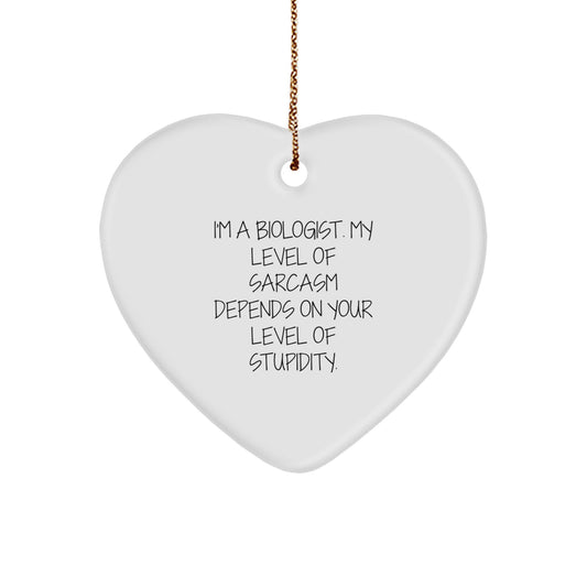 Funny Biologist Gifts - I'm A Biologist, My Level Of Sarcasm Depends On Your Level Of Stupidity., Heart Ornament for Biologist, Christmas Unique Gifts from Friends, Family, Coworkers - Image 1