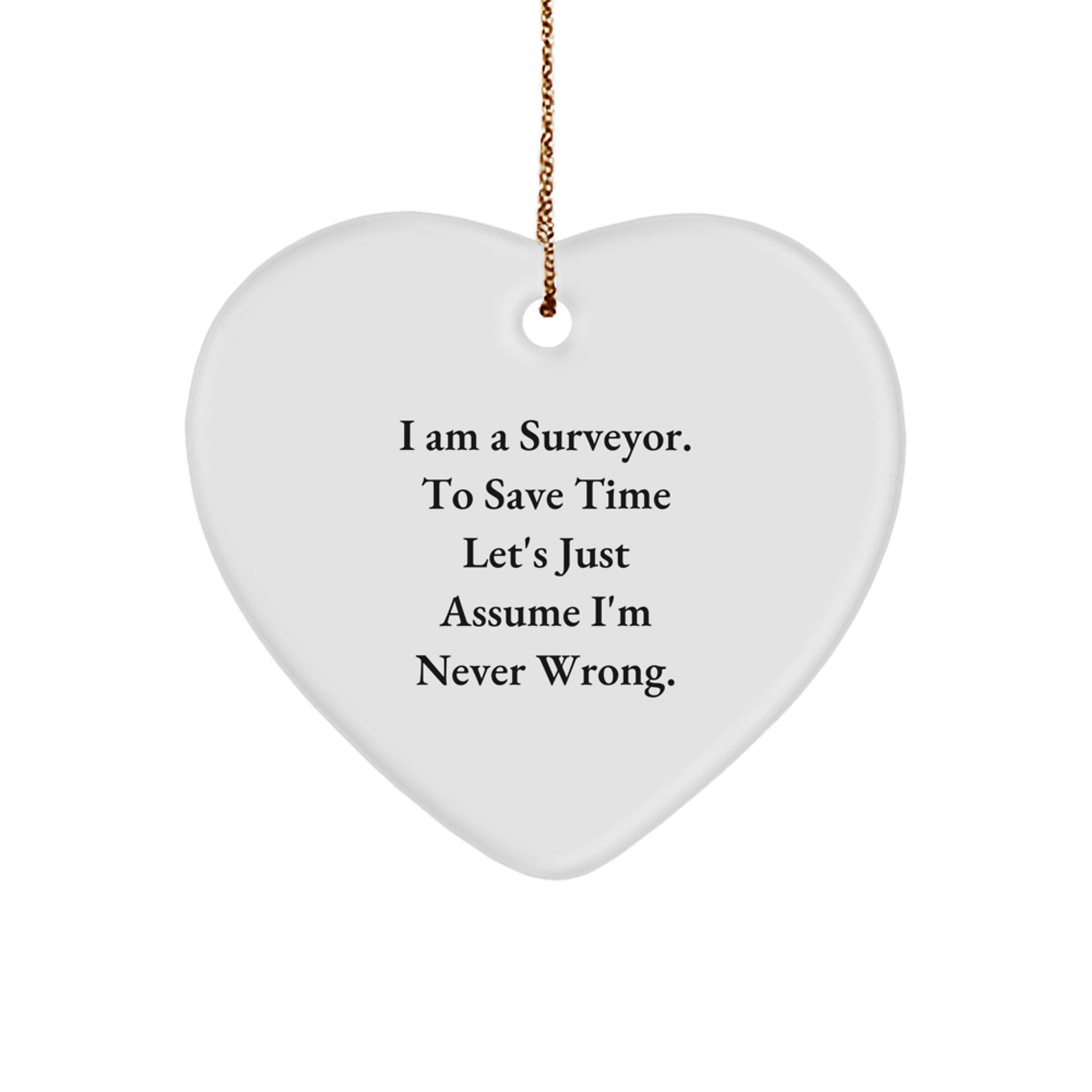 Funny Surveyor Heart Ornament Gifts from Friends for Men on Christmas Unique Occasions - Image 1