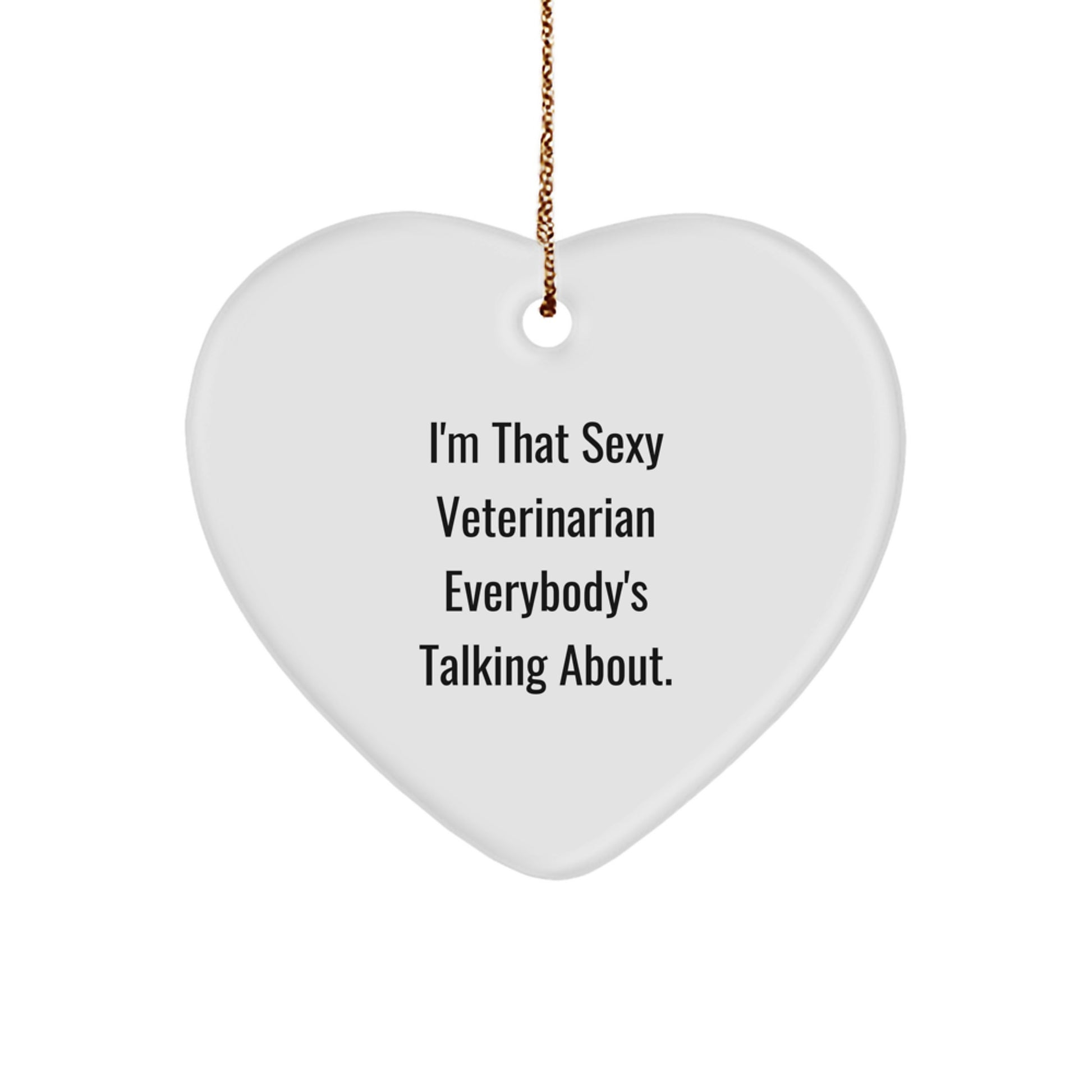 Funny Veterinarian Heart Ornament Gifts from Men to Gifts for Veterinarian at Christmas Unique - Image 1
