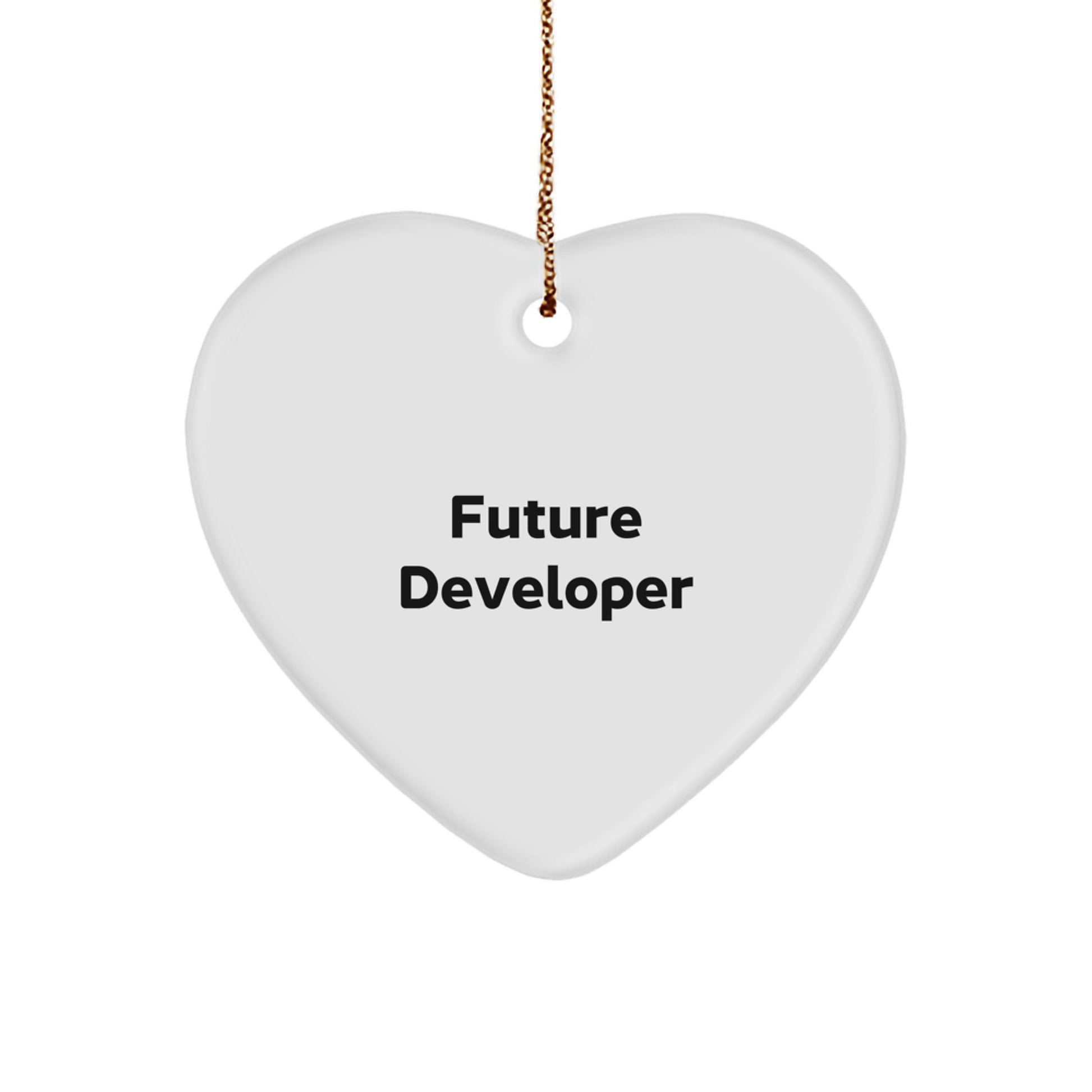 Funny Future Developer Heart Ornament Gifts from Friends, Cute Christmas Decor - Image 1