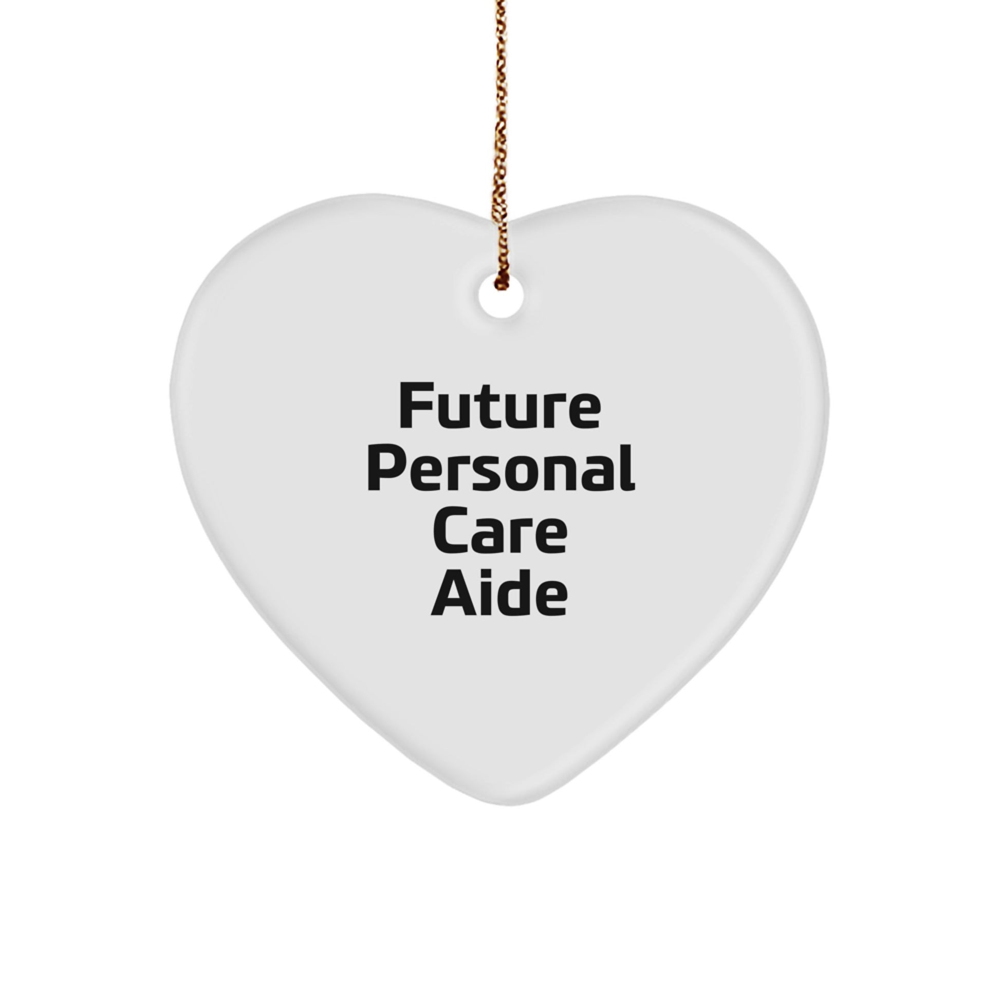 Funny Personal Care Aide Gifts, Heart Ornament for Future Personal Care Aide, Christmas Unique Gifts from Friends, Gifts for Personal Care Aide - Image 1