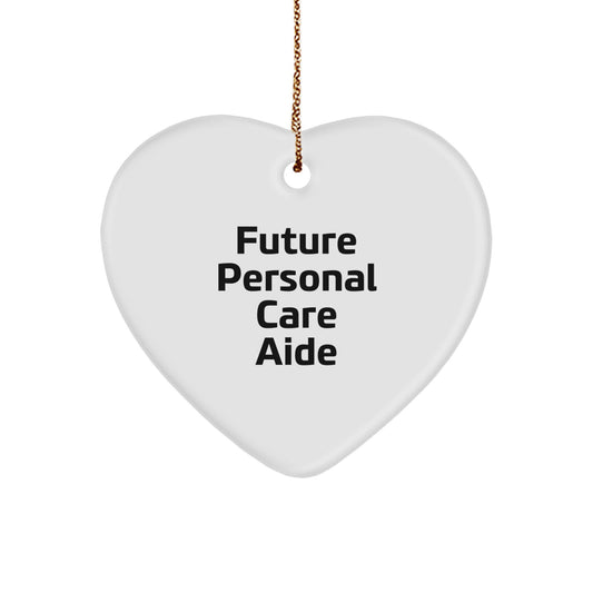 Funny Personal Care Aide Gifts, Heart Ornament for Future Personal Care Aide, Christmas Unique Gifts from Friends, Gifts for Personal Care Aide - Image 1