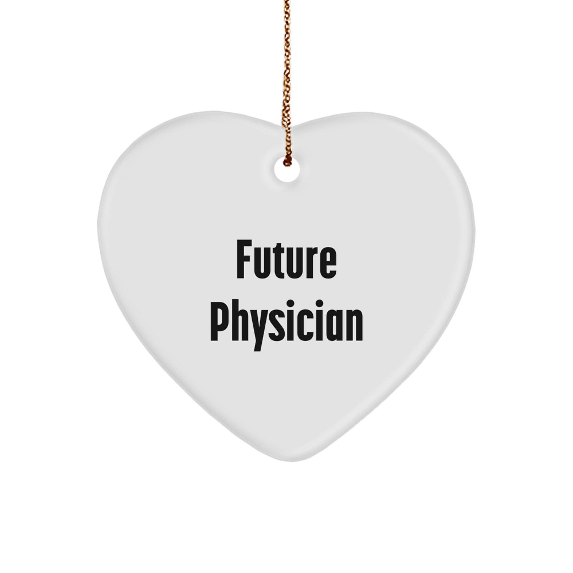 Future Physicians' Heartfelt Christmas Unique Gift, 'Future Physician' Quote, Physician Gifts, Gifts from Family, Gifts for Physicians - Image 1
