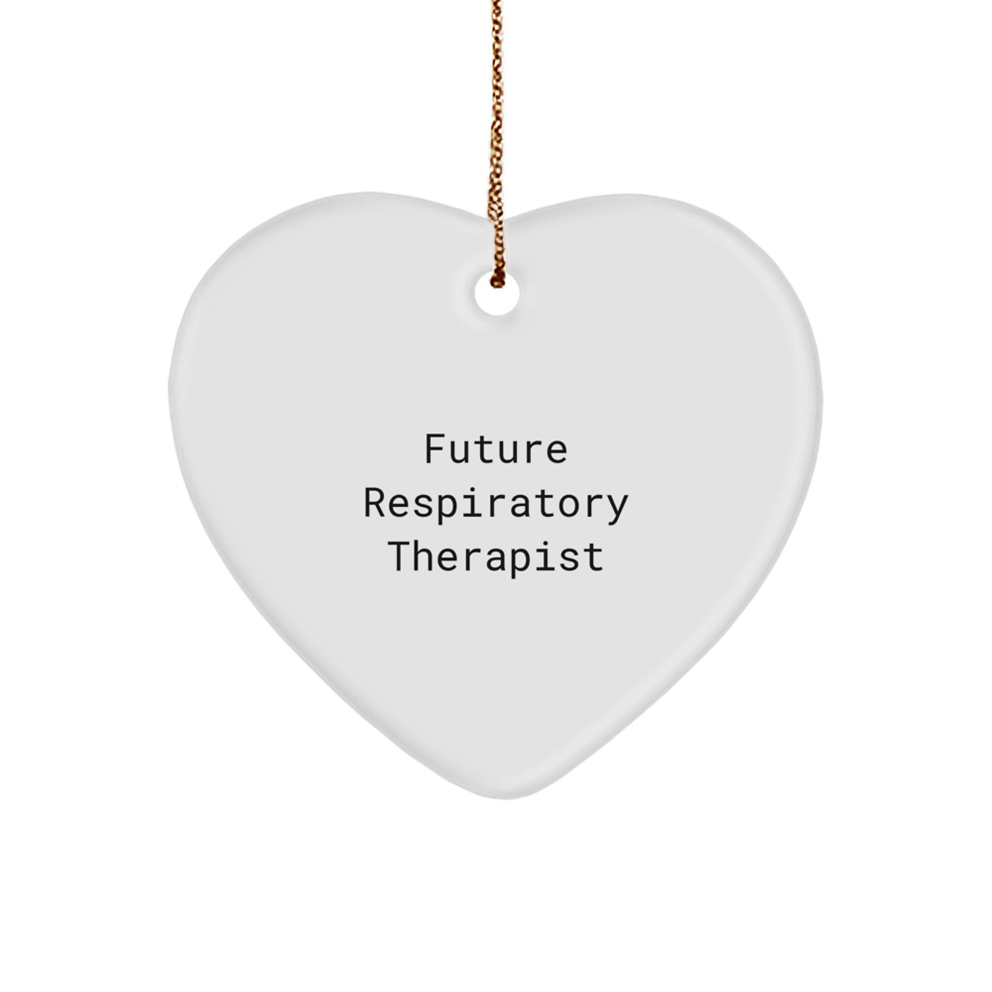 Funny Future Respiratory Therapist Gifts from Family for Christmas - Heart Ornament with Inspirational Quote - Image 1