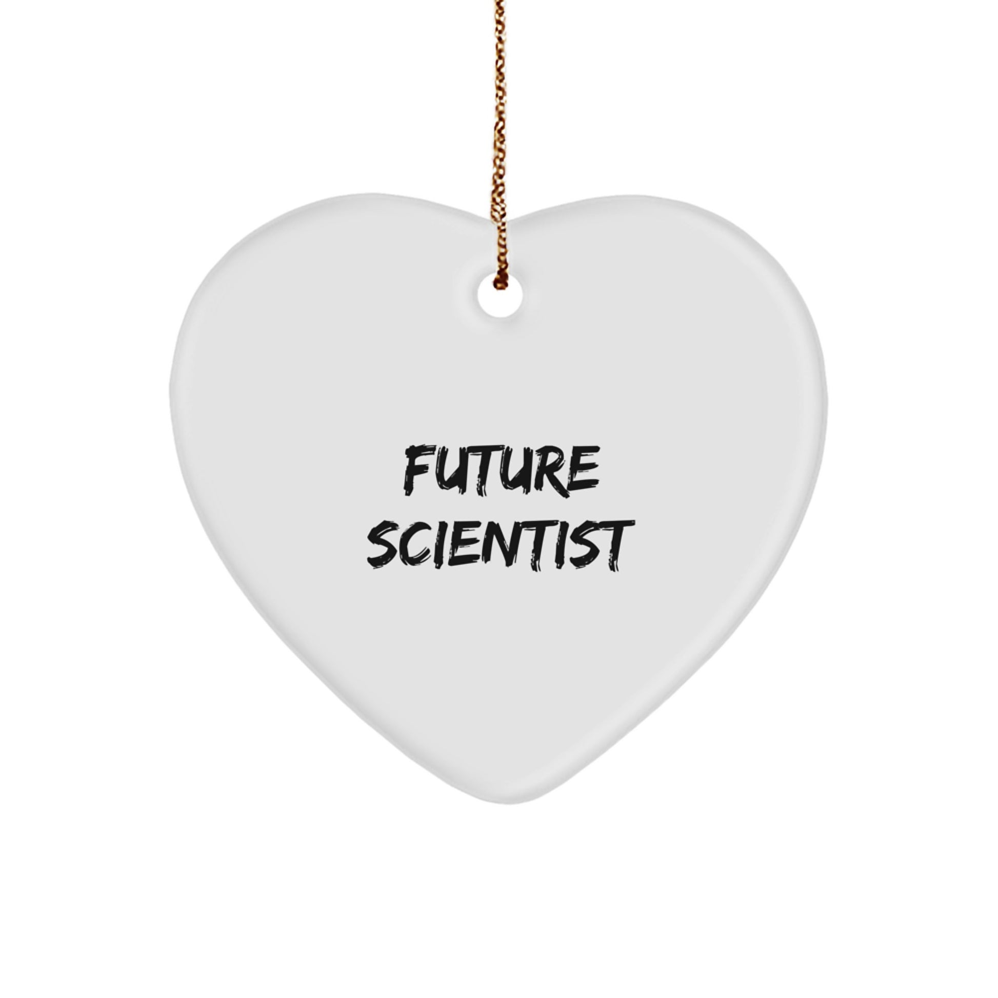 Funny Scientist Gifts for Christmas - Heart Ornament with 'Future Scientist' Quote, White Color, 2.75" Tall, Durable MDF, High-Gloss Plastic Finish, Gifts from Family, For Scientist Friends - Image 1
