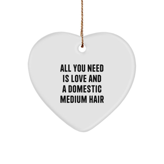 Gifts from Family for Domestic Medium Hair Cat, Heart Ornament with Love and Domestic Medium Hair Quote, Christmas Decorations - Image 1